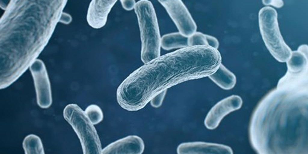 Disgraceful-Toilet-hygiene